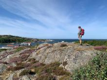 Profile picture for user Oliver Gulas