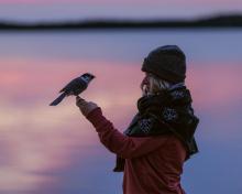 Profile picture for user Hannah Assil