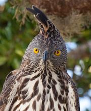 Profile picture for user Joachim Eberhardt